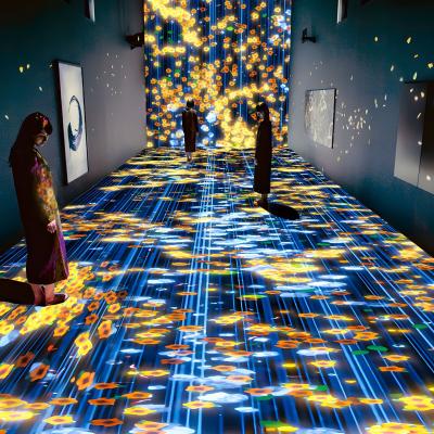 Immersive Holographic Restaurant Immersive Holographic Projector Wedding Hall Projection