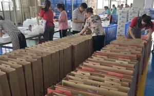 Foshan Shunde Tucson Sanitary Ware Co., Ltd.