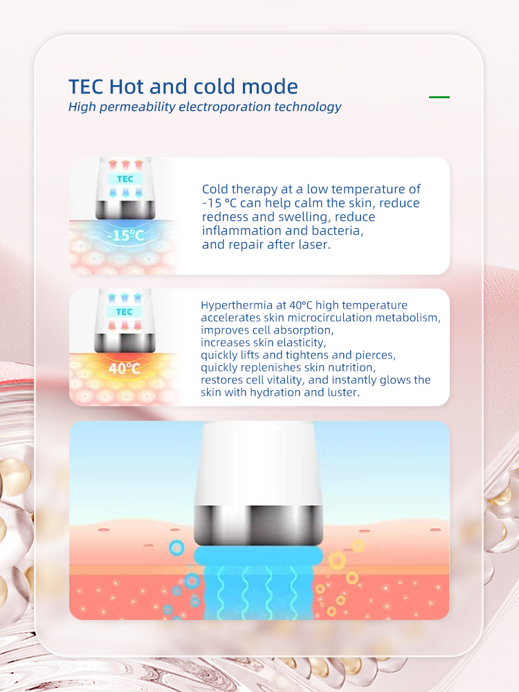 D Cool Electroporation Hot Cold Mesotherapy Skin Rejuvenation Salon Equipment