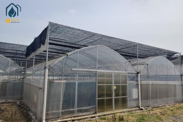 Indoor Strawberry Growing Troughs Greenhouse PVC Hydroponic Gully Vertical Farming System