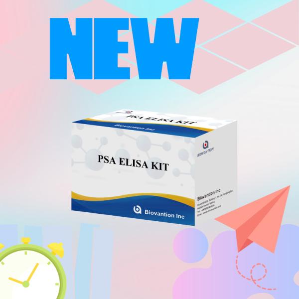 Biovantion Test PSA Prostate-specific Antigen Sensitive Elisa Test Kit