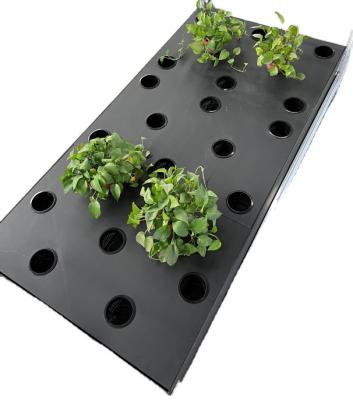PP Aeroponic Grow System Height 15cm Hydroponic Cloning Box
