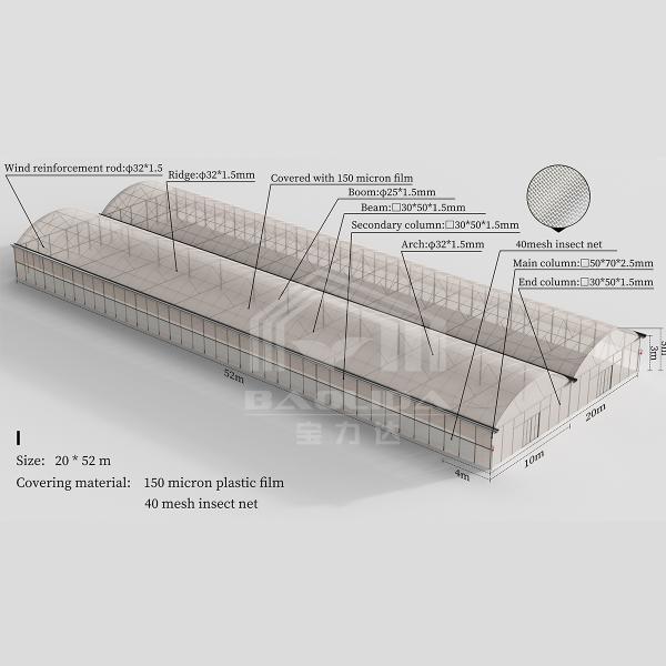 Baolida Polycarbonate Greenhouse Metal Frame Serre Agricole Agricultural Greenhouse Film