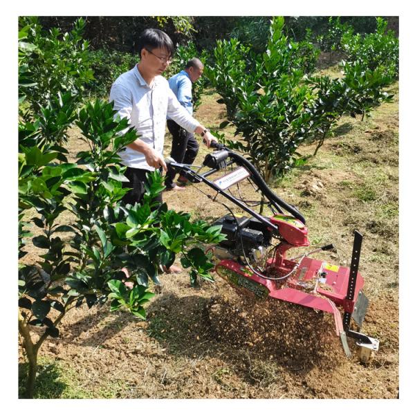 Maximize Your Management Potential with Orchard Cultivator and 70cm Working Width