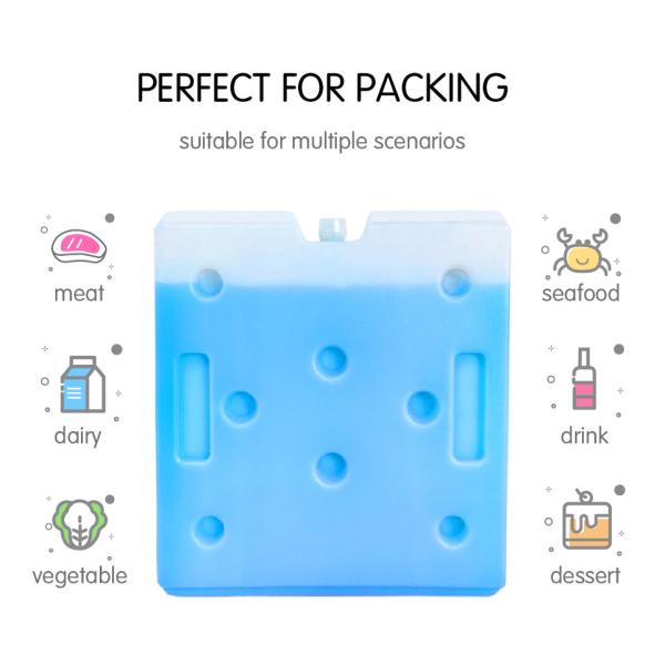 Leak-Proof Cooler Gel Packs for Food & Medicine - Multiple Sizes
