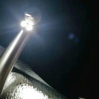 La turbine dentaire Handpiece de petite tête 4 trous a mené le kit de turbine à air