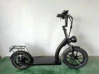 Pulgada eléctrica gorda del ciclo 1000w 48v 16ah 20x3.0 de la vespa de Richbit H200