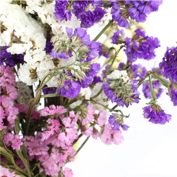 Brightly Colored Purple Limonium Flower Forget Me Not For Decoration