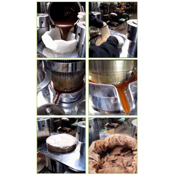 90kg/h German Hydraulic Prickly Pear Seed Oil Walnut Extraction Machine Press Hazelnut Olive Oil Machine 98%-100% Oil Output