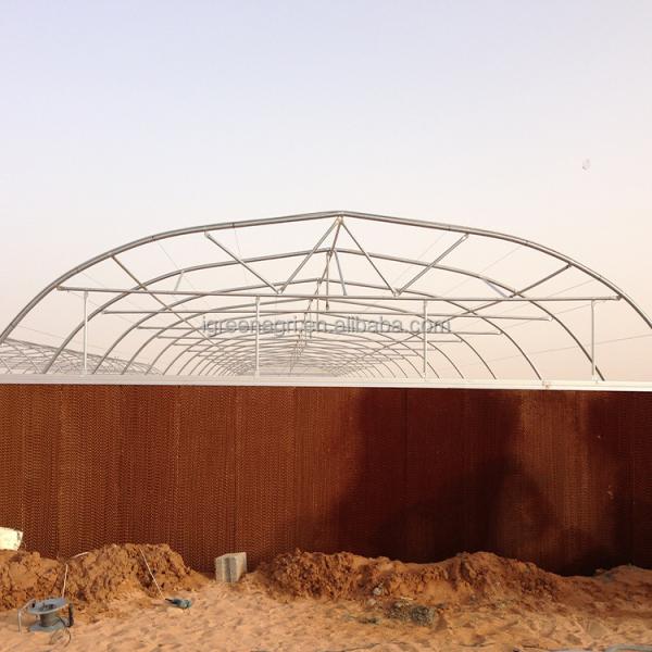 IGreen Small Single Layer Agricultural Greenhouse with Film Cover for Middle East & Gulf Countries and Desert Climate