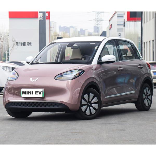 powerful mini eV cars eco friendly adult electric vehicle new energy