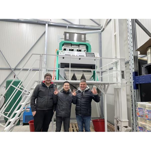 High Speed Automatic Peeled CCD Color Sorter Machine GARLIC Clove Color Sorting Machine