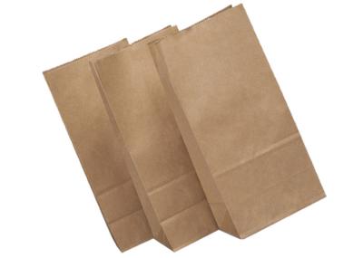 Sacos de papel da parede de 2 camadas os multi abrem a boca Eco biodegradável reciclável amigável