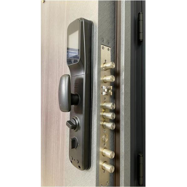 Customizable Fingerprint Front Door Steel Security Door With Knock Down Frame