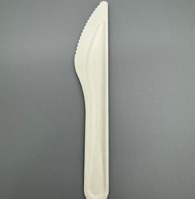 Eco Friendly Compostable Degradable Disposable Sugarcane Bagasse Paper Pulp Knife