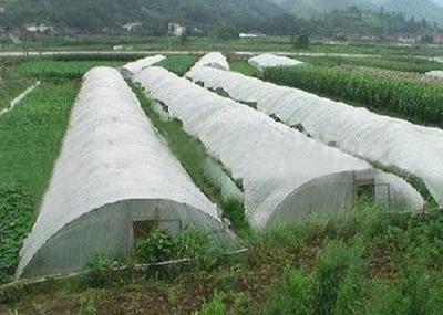 Tela não tecida antienvelhecimento da agricultura/tela Rolls do polipropileno para a tampa agrícola