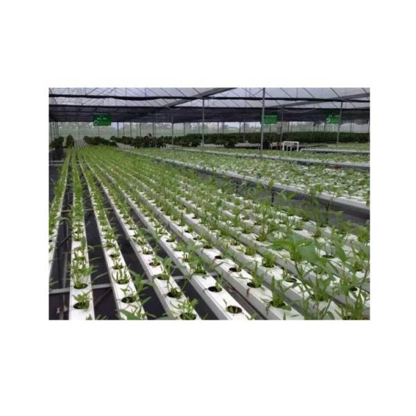 Tubos NFT personalizáveis PVC Canal 2 metros comprimento 100x50mm para crescimento hidropônico