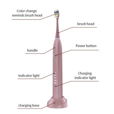 IPX7 Waterproof Smart Electric Toothbrush Rechargeable With 18650 Lithium Battery