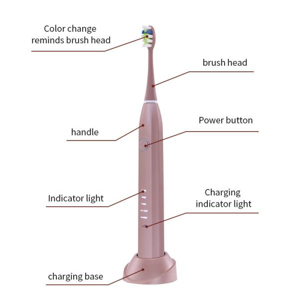 IPX7 Waterproof Smart Electric Toothbrush Rechargeable With 18650 Lithium Battery