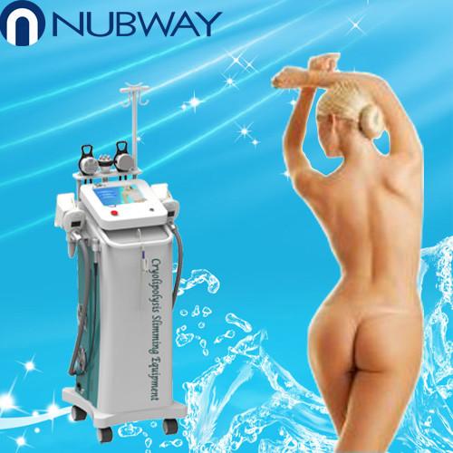 New design cryolipolysis slimming machine / body sculpting antifreeze vacuum machine for s