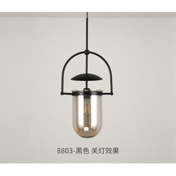 Postmodern Led Pendant Lights Designer Glass Hanglamp For Living Room Bedroom Study Bar Glass Decor Lamp(WH-GP-166)