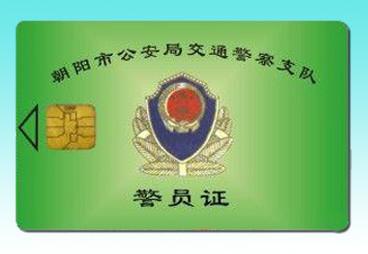 Contact SLE5528 chip cards
