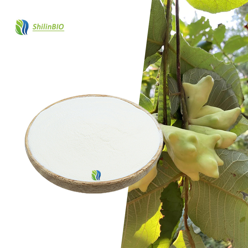 High Quality 50% 90% 99% Gallic Acid Powder CAS 149-91-7 Gallnut Extract Powder