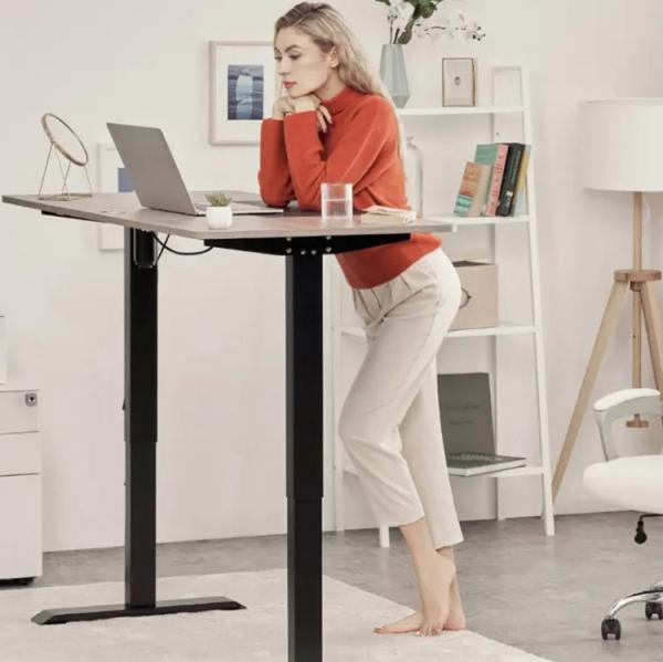 Single Motor Electric Height Adjustable Computer Desk for Home Office DIY Workbench