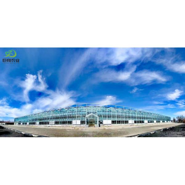 トマト 黄瓜 レタス 12.09cm * 2.35cm * 2.39cm パッケージサイズ