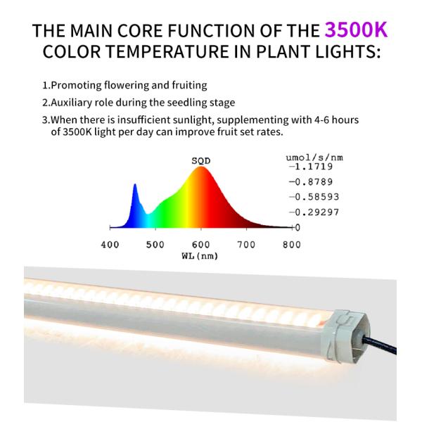 Samsung LED 60W 3500K Under Canopy Grow Light IP65