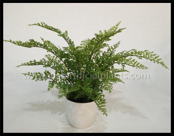 Сымитированное поддельное дерево папоротника, поддельные на открытом воздухе папоротники легкие для того чтобы позаботить с керамическим как бак