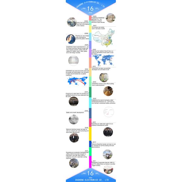 Dongguan Dasheng Electronic Co., Ltd.