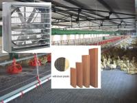 Prix de l'usine de qualité de plastique de refroidissement Pad mur de l'eau rideau papier de cellulose pour poulet maison