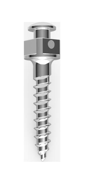 Titanium Alloy Dental Orthodontic Mini Screws 1.6x6 1.6x8 1.6x10 1.6x12 Size