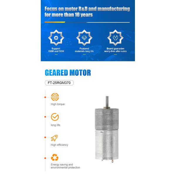FT-25RGM370 DC 12V 24V High Torque Brushed Spur Gear Motor For Robots Model