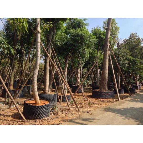 plastic planter pot root pot large gallon pot