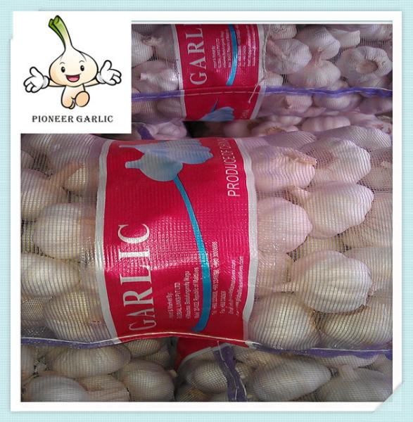 5.0-5.5cm pure white /normal white garlic Pink Garlic With Small Packing