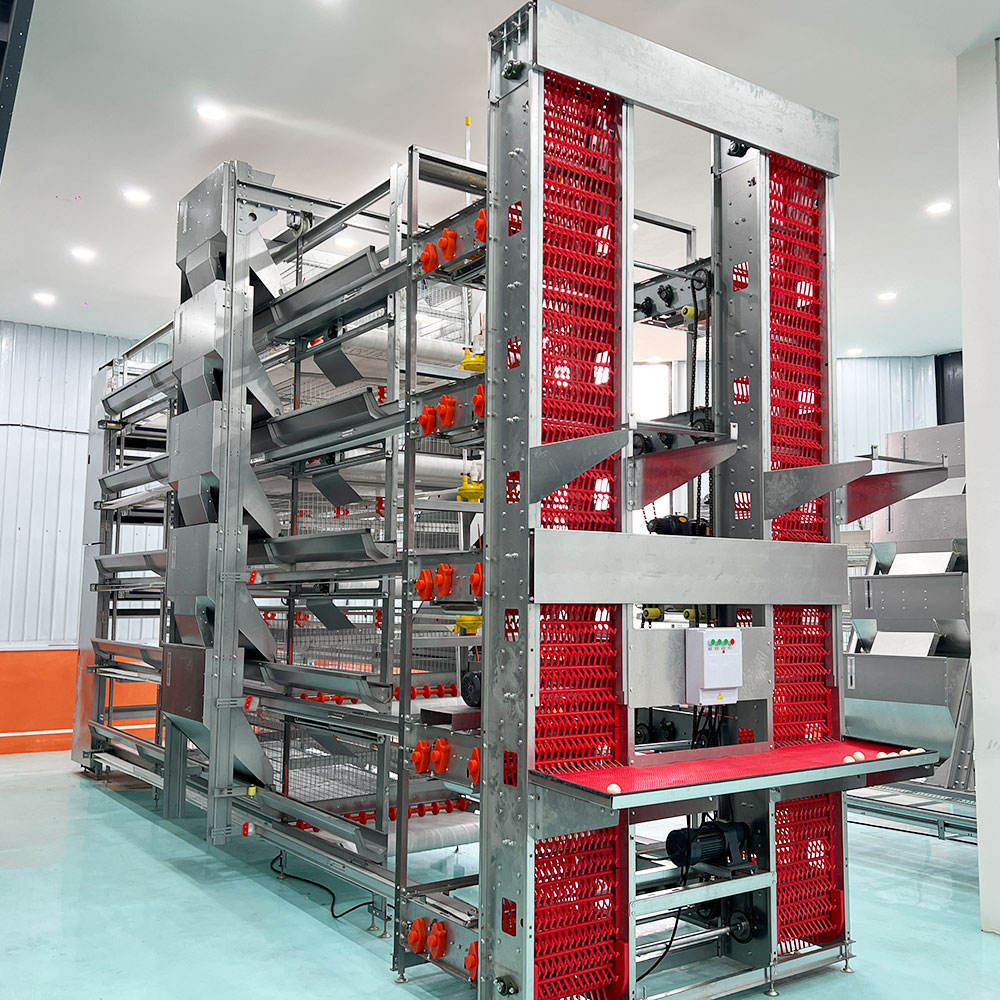 H Section Steel Galvanized 4 Tiers Poultry Farm Cage for Chicken Layer and Broiler