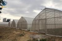 Maison en acier inoxydable Sigma Hoop Serre avec système de culture hydroponique