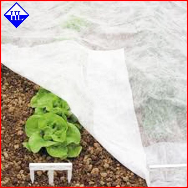 Tissu non tissé de lutte contre les mauvaises herbes de couverture végétale pour le jardin/ferme 1.5OZ 40gsm - 100gsm