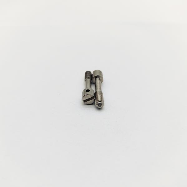 304 Stainless Steel Slotted Lead Sealing Screws M4 M5 M6 for Electric Meters