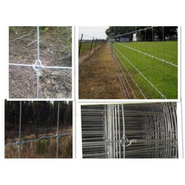 Galvanized Welded Wire Livestock Panels Low Carbon Steel Good Flexibility