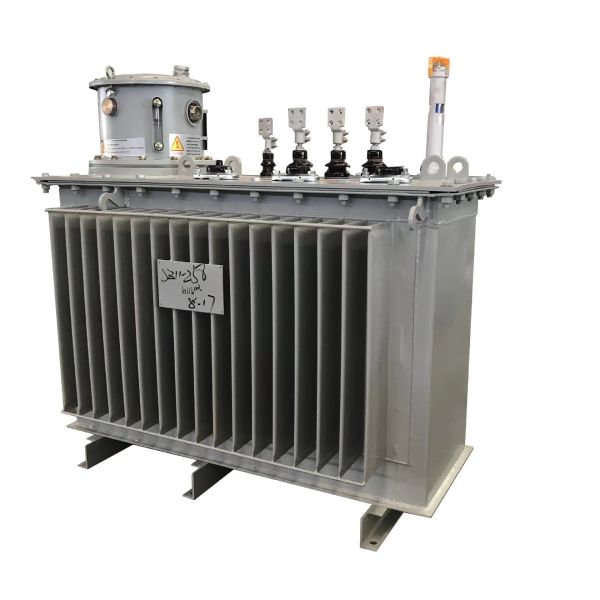10KV Fully Sealed Oil Immersed Distribution Transformer For Modern Power Grids