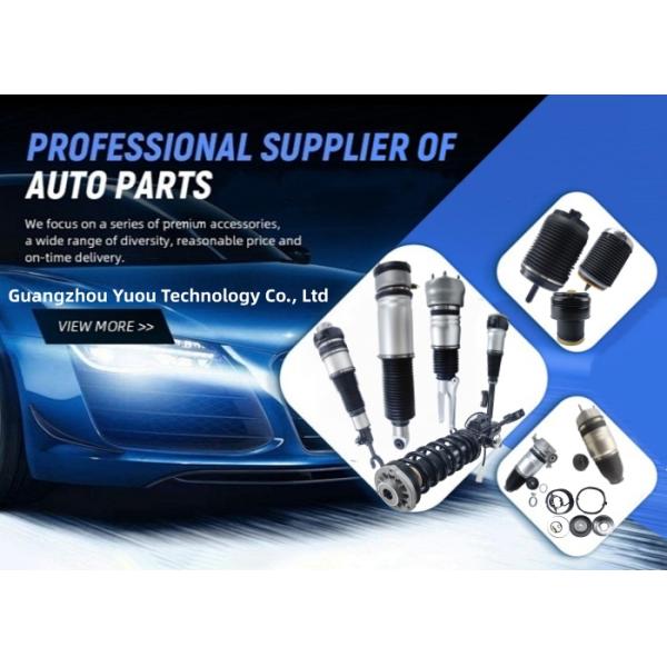 Air Strut Suspension Shock Absorber For Mercedes Benz R-Class W251 With ADS Direct Fit