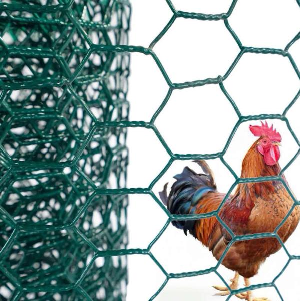 Galvanized PVC Coated Brass Hexagonal Wire Mesh Chicken Fence Anti Corrosion
