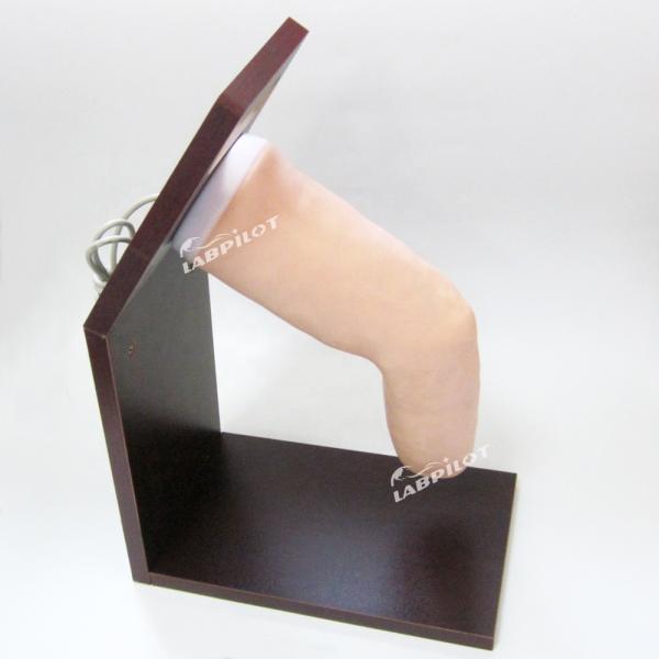 Advanced PVC Joint Intra-articular Injection Training Simulator for Human Elbow Model