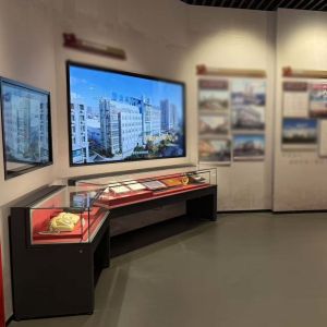 High End Museum Display Cabinet High Strong Glass Exhibit Display Cases With LED