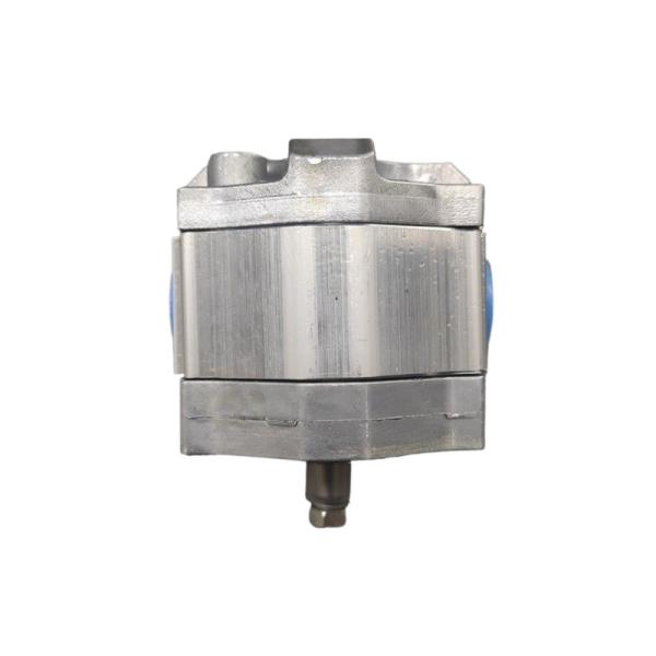 Rexroth 0510010008 Hydraulic Gear Pump Mechanical Seal High Safety New