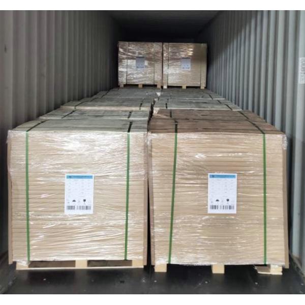 Биодеградабле водоустойчивая каменная бумага 120гр покрывает 707 * 1000мм для печати карты