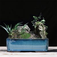 Potenciômetros vitrificados 30.3cmx21.6cmx10.5cm cerâmicos azuis dos bonsais
